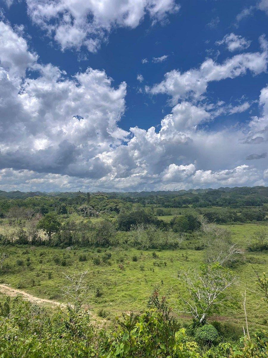 Terreno en Monte Plata, foto 4 de 4