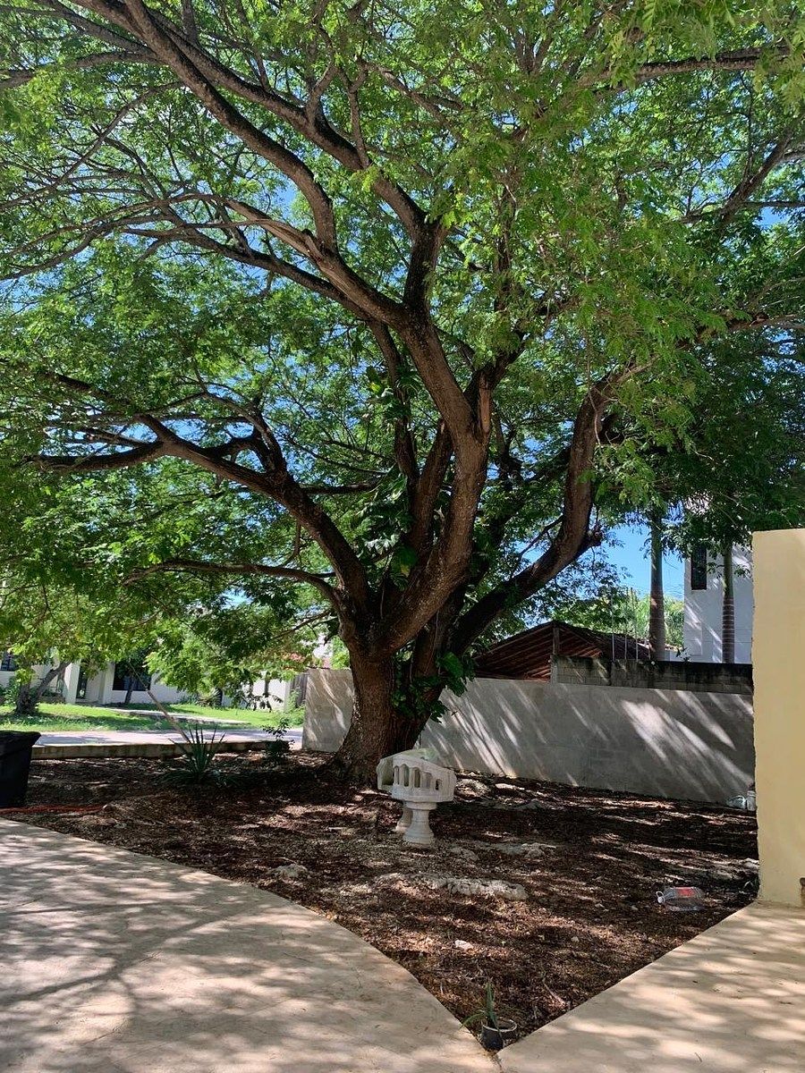 Casa em Cholul, Mérida, foto 38 de 42