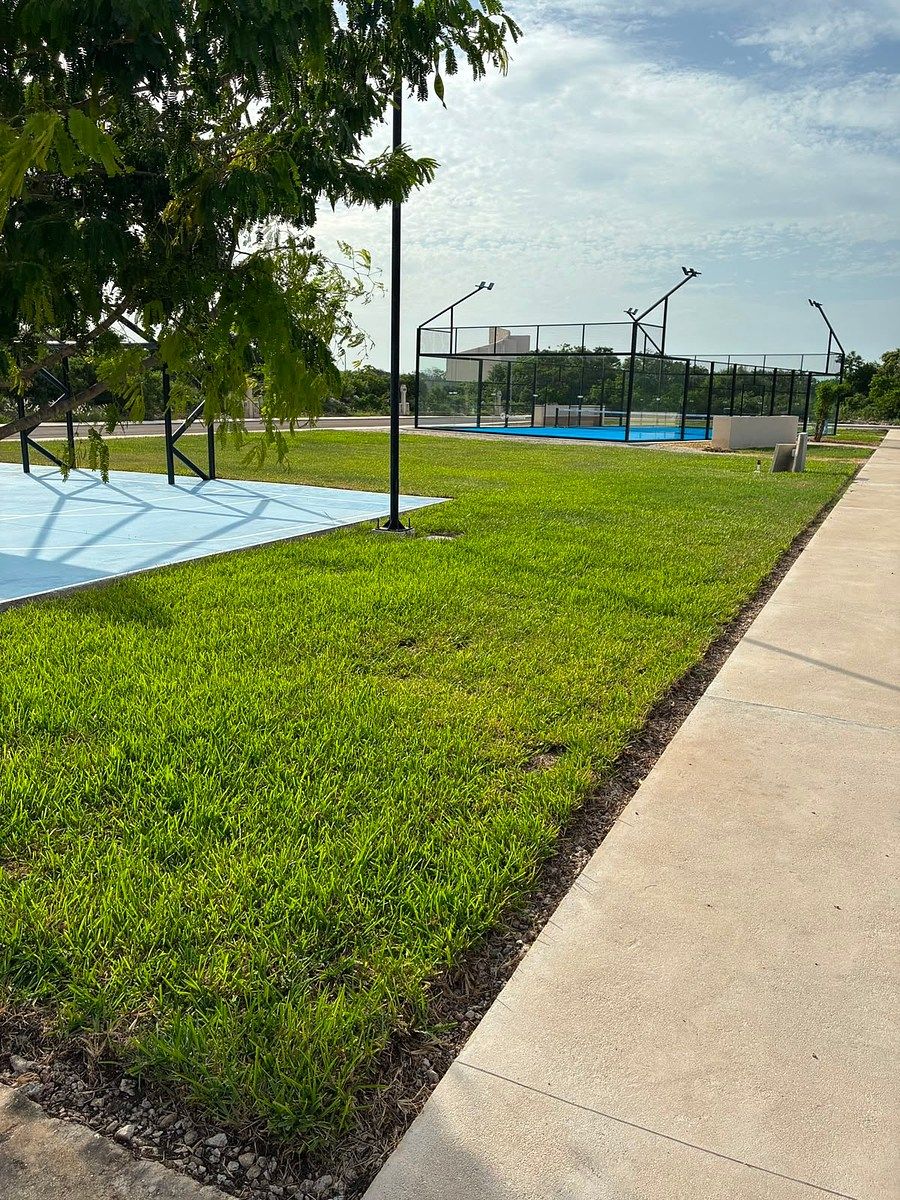 Lote em Chicxulub, Chicxulub Pueblo, foto 19 de 22