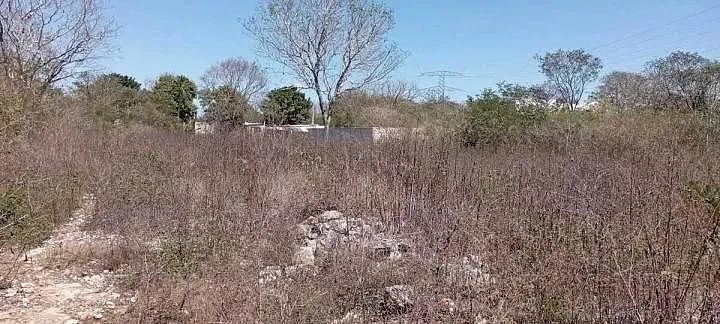 Lote em Temozón Norte, Mérida, foto 2 de 4