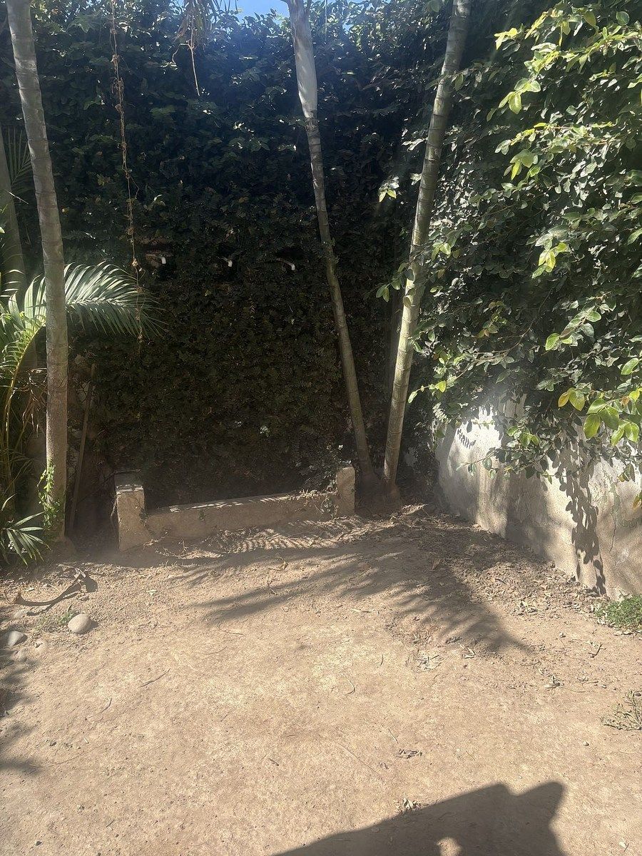 Casa en condominio en Altus Bosques, Tlajomulco de Zúñiga, foto 15 de 19