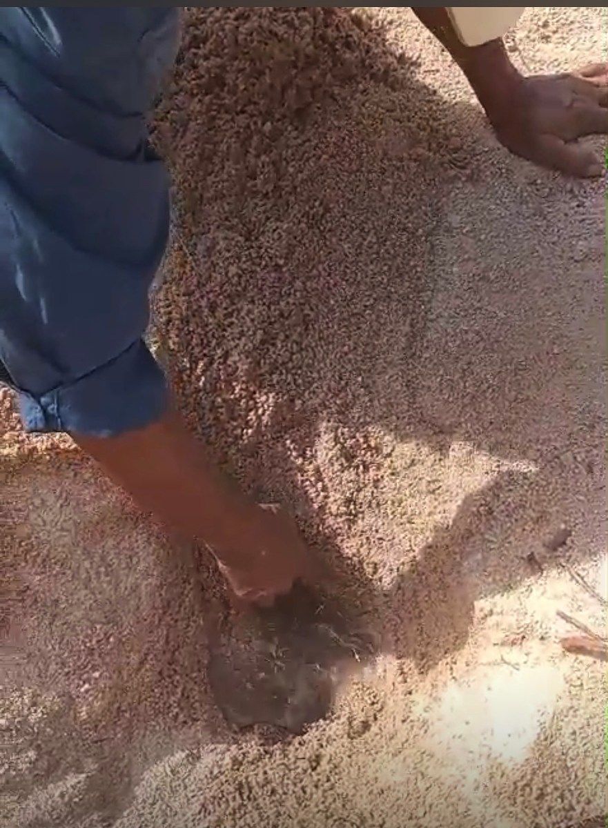 Lote em Centro, La Paz, foto 14 de 23