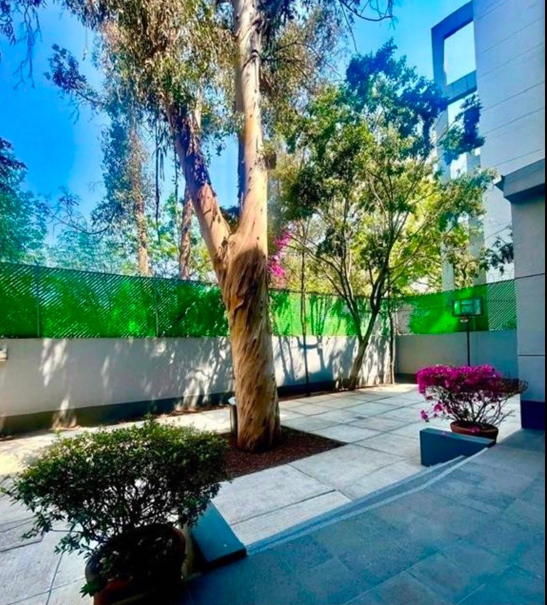 Apartamento em Lomas de los Angeles del Pueblo Tetelpan, Álvaro Obregón, foto 5 de 21
