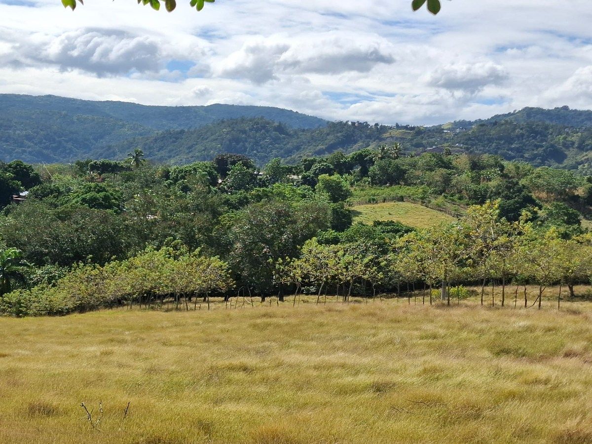 Terreno en Bayacanes, Concepción de La Vega, foto 2 de 5