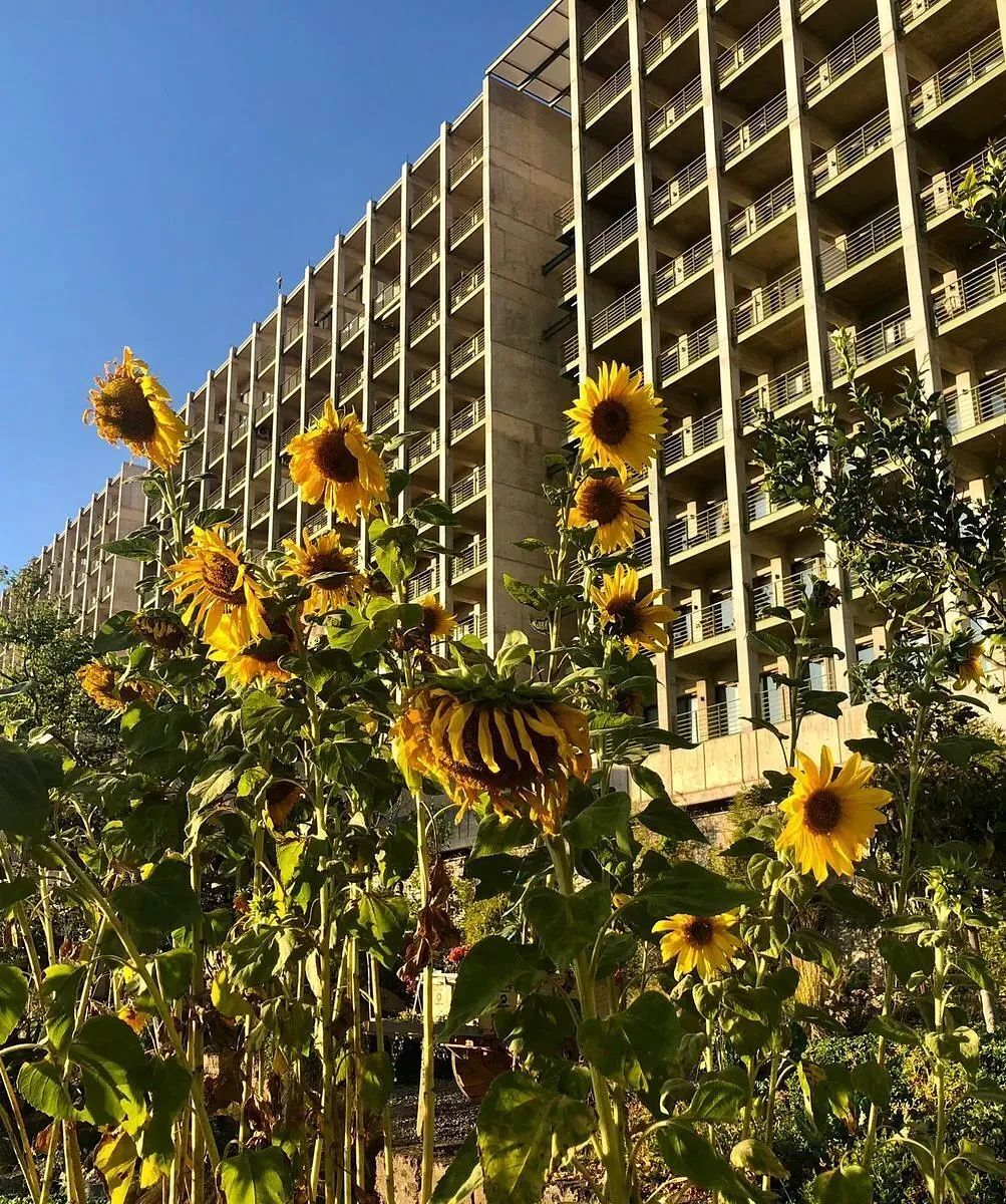 Departamento en Altos Juriquilla, Querétaro, foto 19 de 20