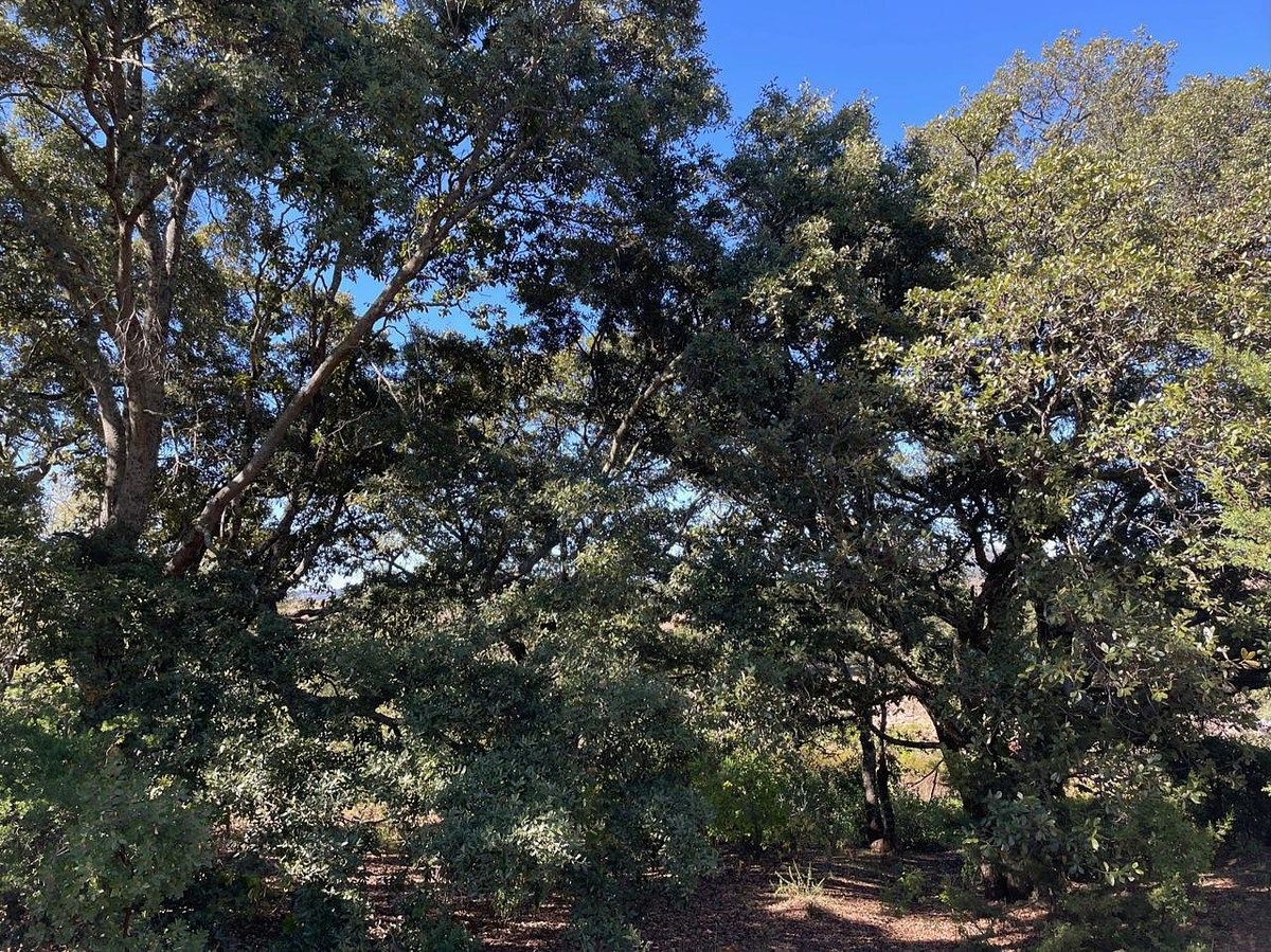 Terreno en Mesillas, Amealco de Bonfil, foto 2 de 21
