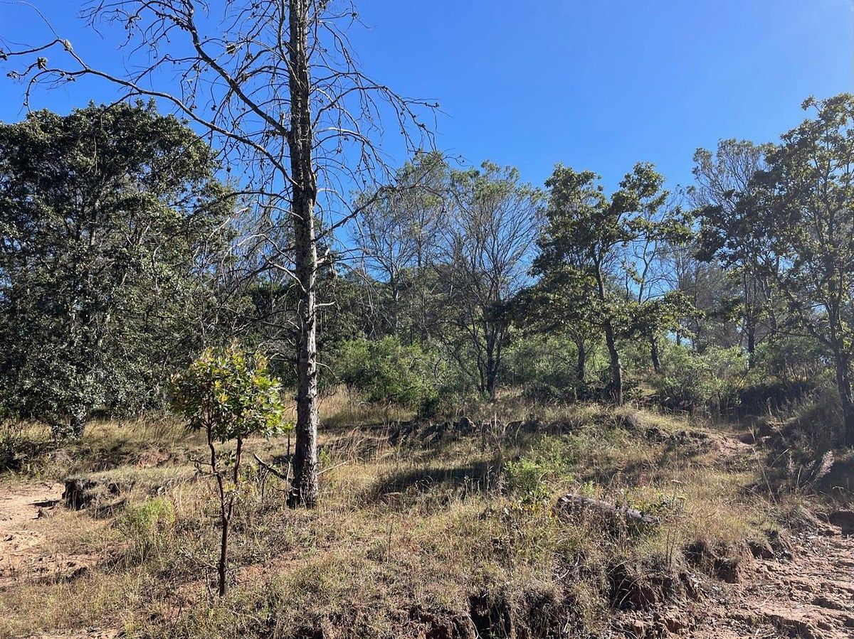 Terreno en Mesillas, Amealco de Bonfil, foto 4 de 21