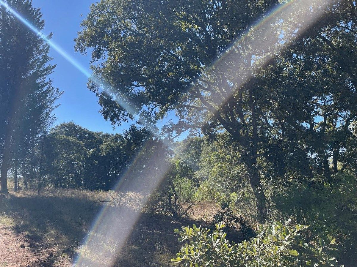Terreno en Mesillas, Amealco de Bonfil, foto 5 de 21