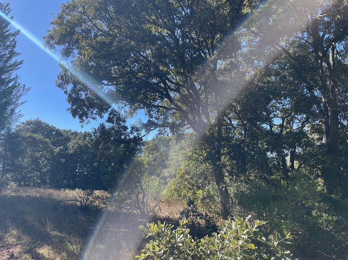Terreno en Mesillas, Amealco de Bonfil, foto 16 de 21