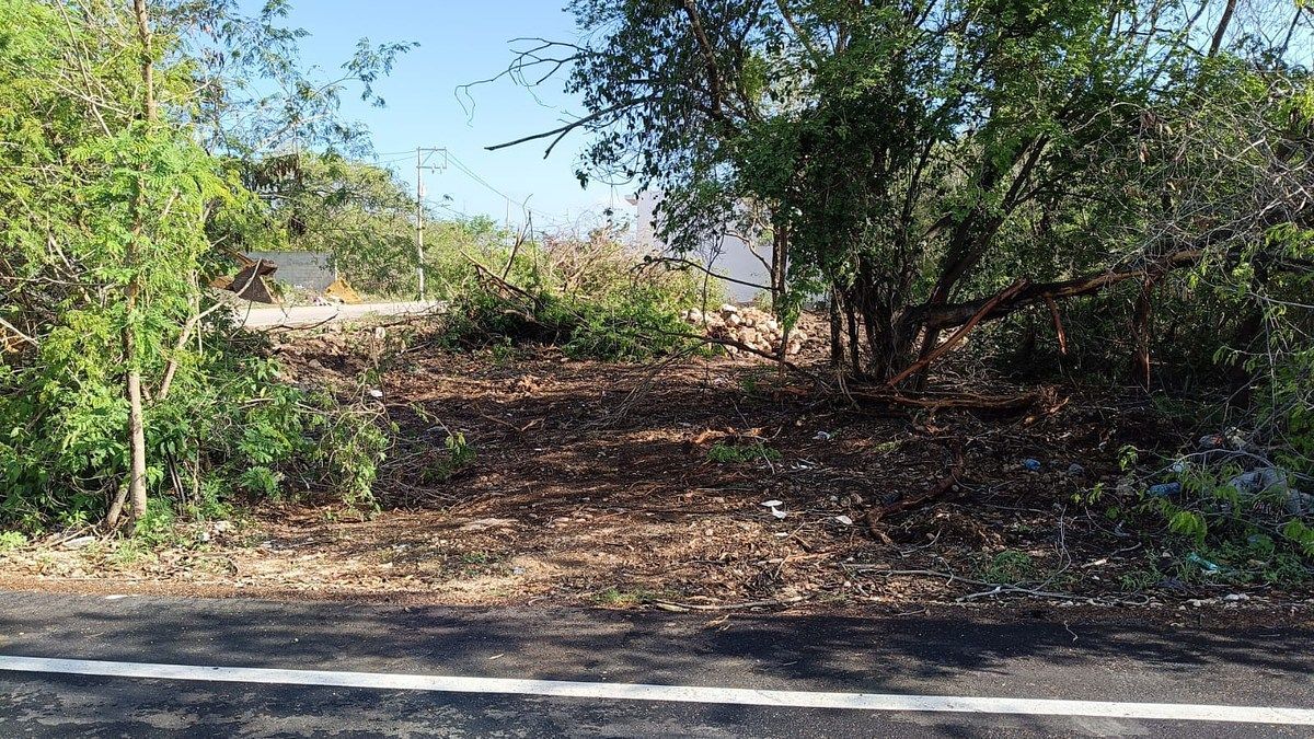 Lote em San Juan Bautista, Mérida, foto 3 de 5