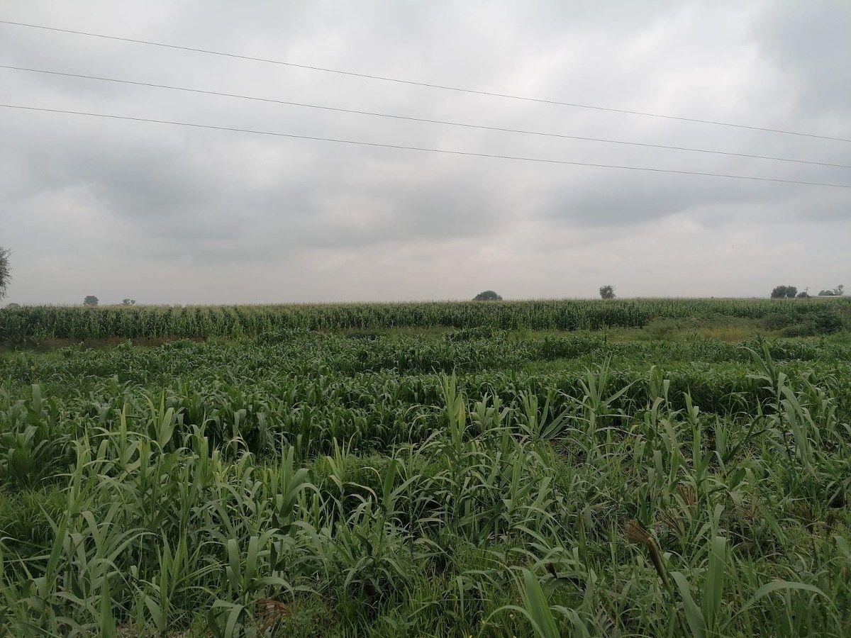 Lote em La Venta de Ajuchitlancito, Pedro Escobedo, foto 4 de 14