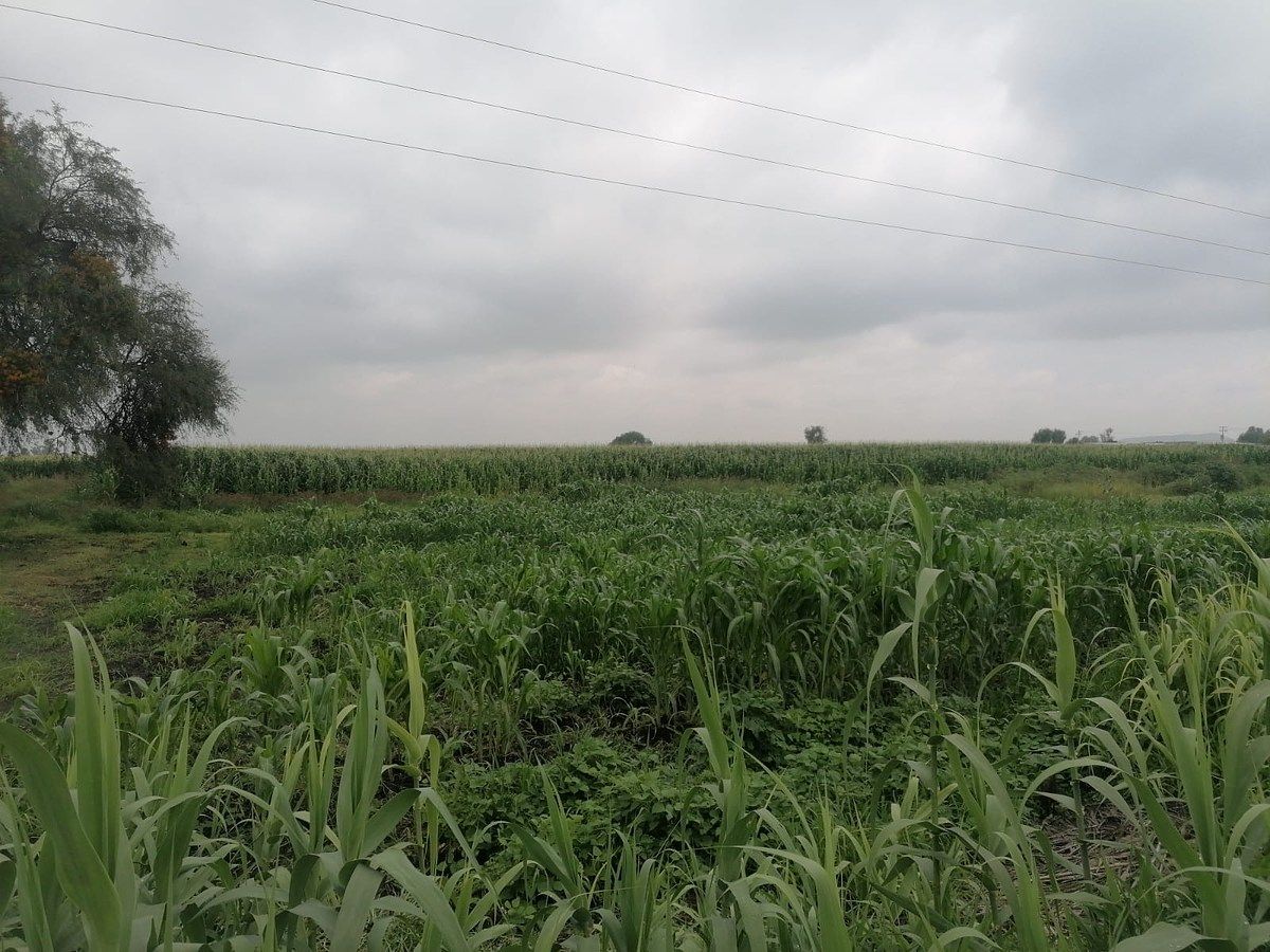 Lote em La Venta de Ajuchitlancito, Pedro Escobedo, foto 3 de 14