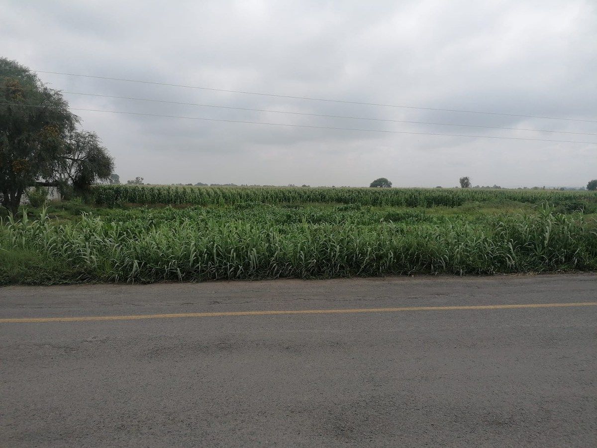 Lote em La Venta de Ajuchitlancito, Pedro Escobedo, foto 7 de 14