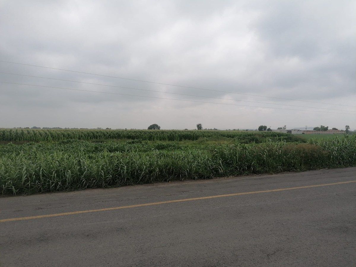 Lote em La Venta de Ajuchitlancito, Pedro Escobedo, foto 8 de 14