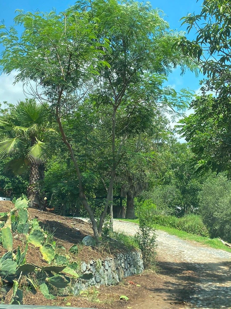 Lote em El Barro, Monterrey, foto 4 de 6