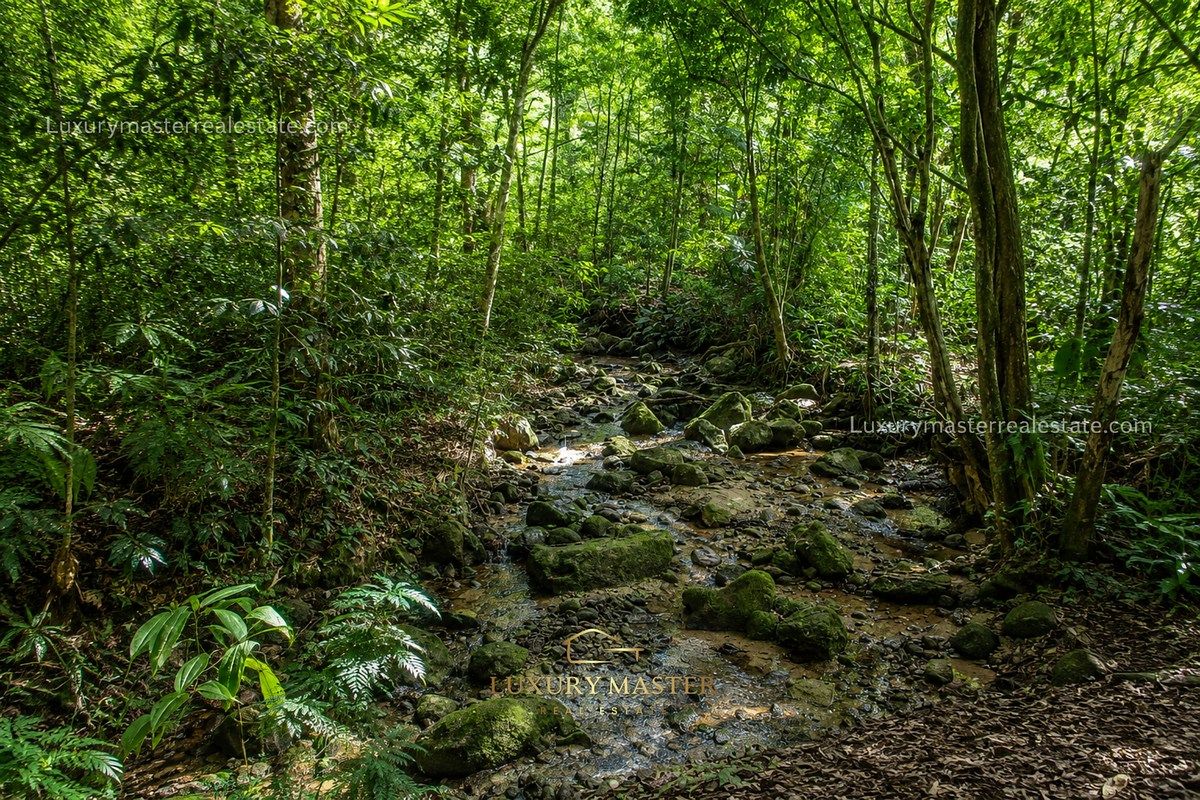 Terreno en Centro Tomatlán, Tomatlán, foto 3 de 22