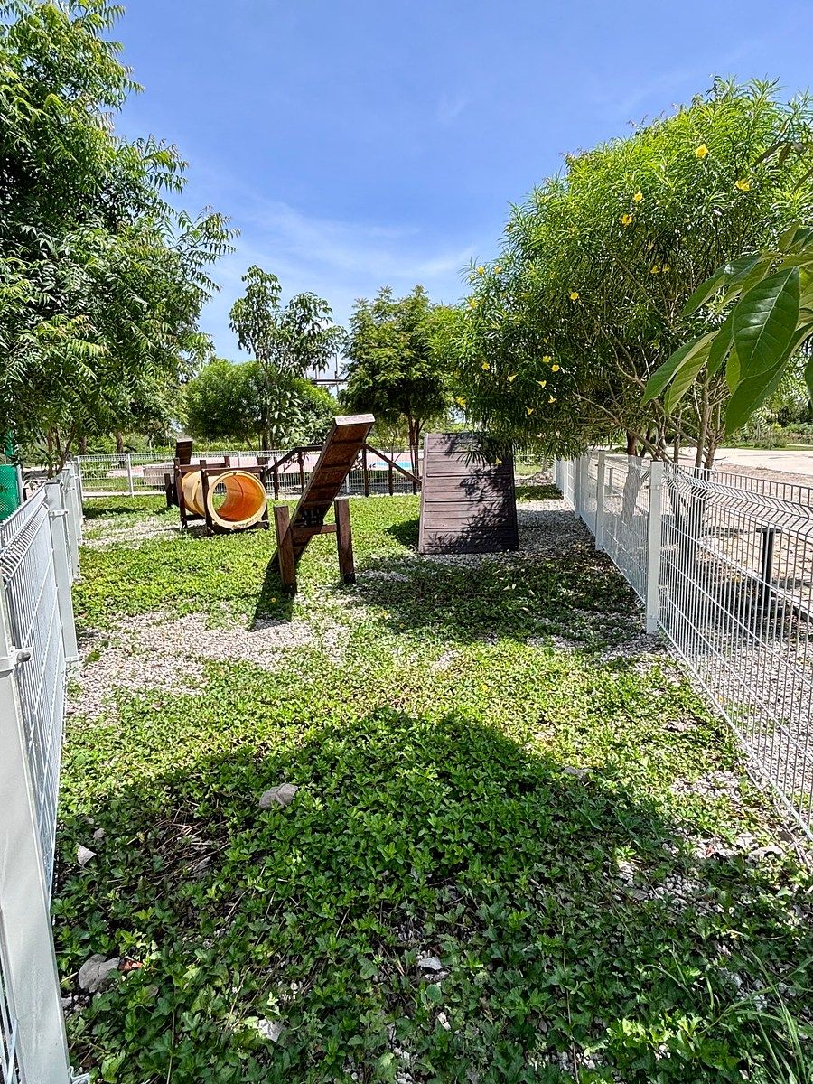 Terreno en Cholul, Mérida, foto 8 de 14