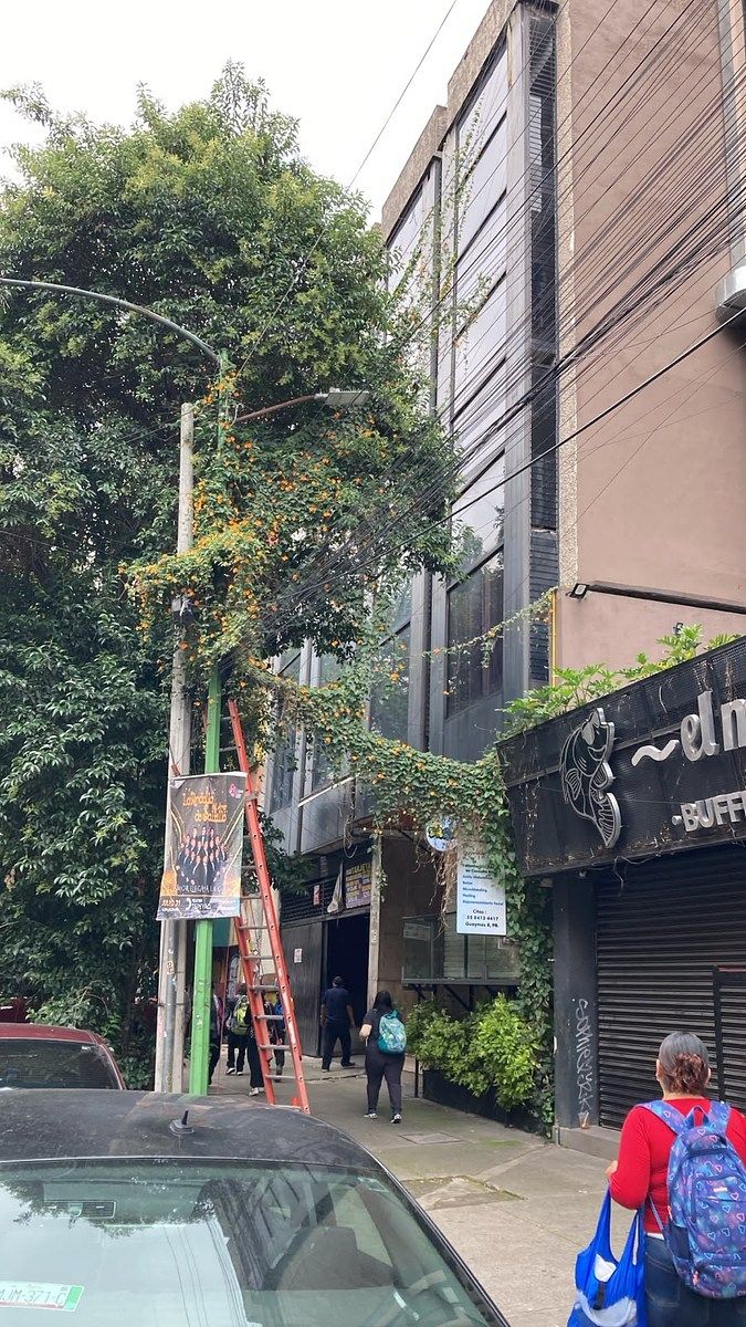 Sala Comercial em Roma Norte, Cuauhtémoc, foto 4 de 12
