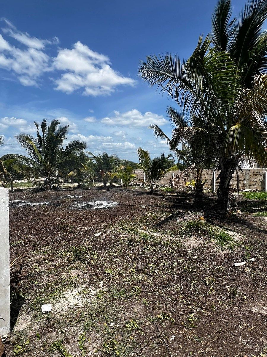 Lote em Chelem, Progreso, foto 3 de 6