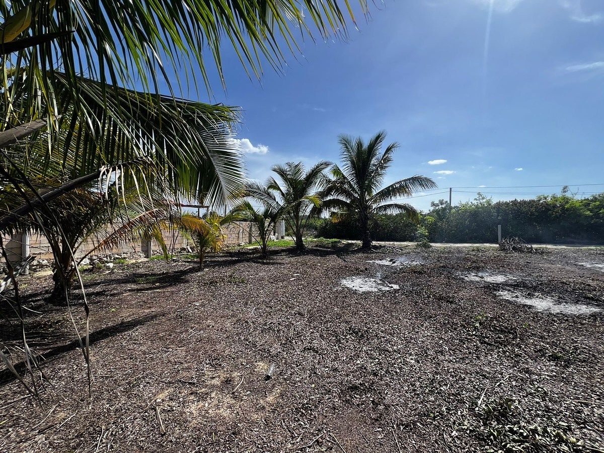 Lote em Chelem, Progreso, foto 4 de 6