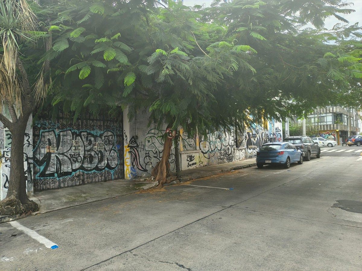 COLONIA AMERICANA EN ESQUINA SOBRE AV HIDALGO - foto 2
