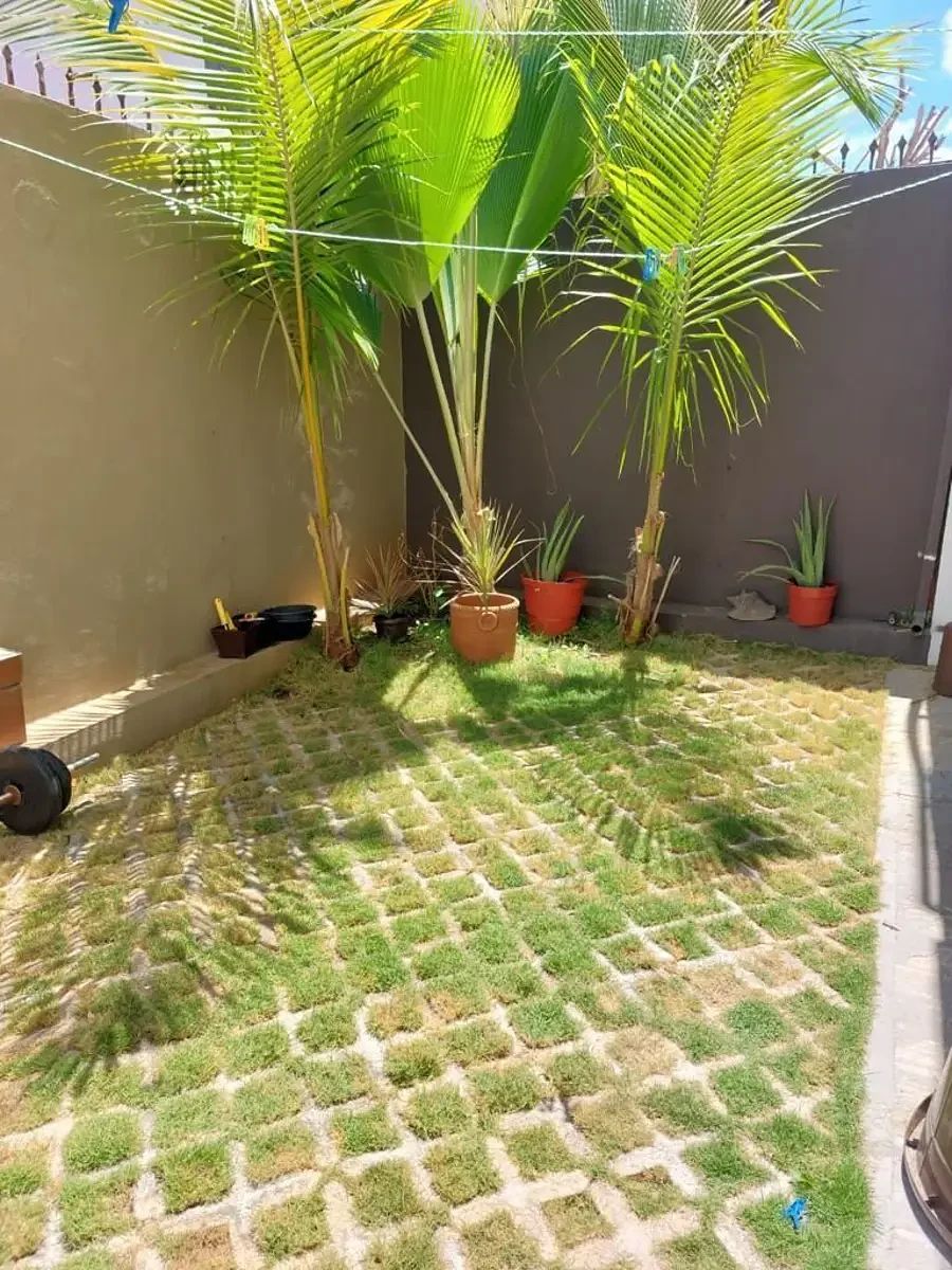 House in Francisco de Montejo, Mérida, photo 11 of 24