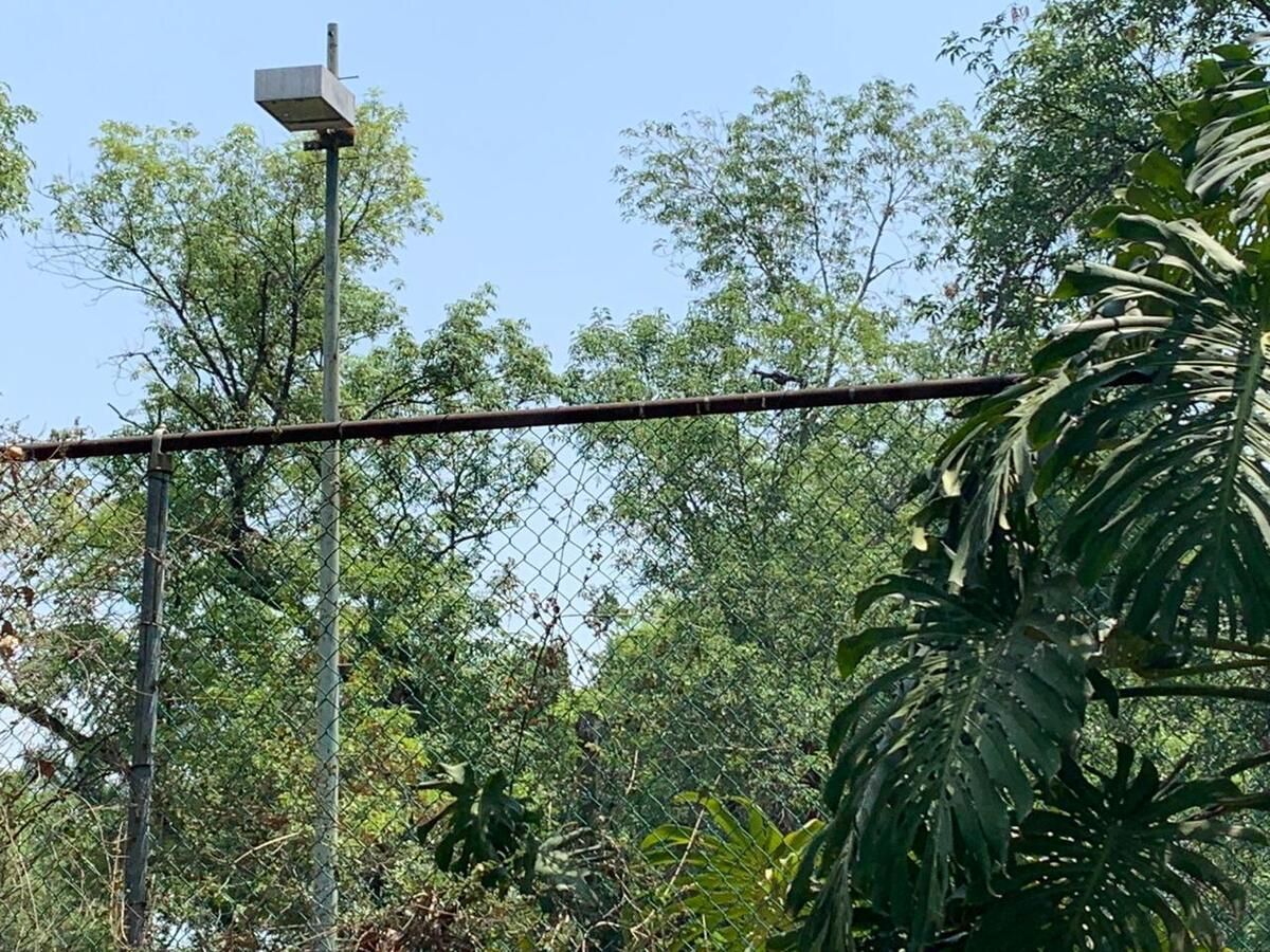 Casa en condominio en Acapatzingo, Cuernavaca, foto 19 de 25