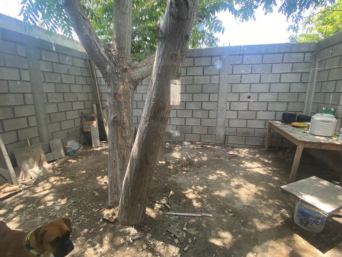 House in Plan de Ayala, Tuxtla Gutiérrez, photo 4 of 17