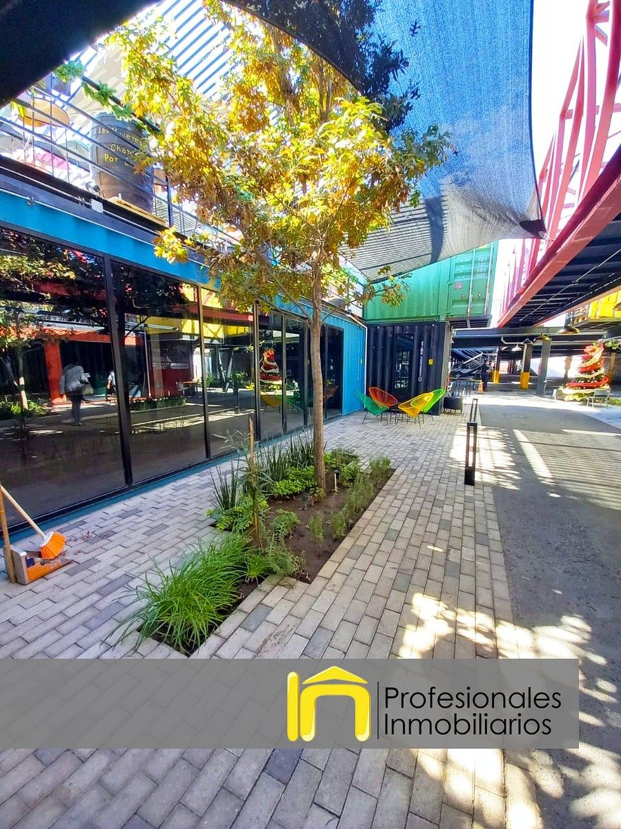 LOCAIS PARA ALUGUEL PLAZA 3636, IRAPUATO GTO., foto 1 de 8
