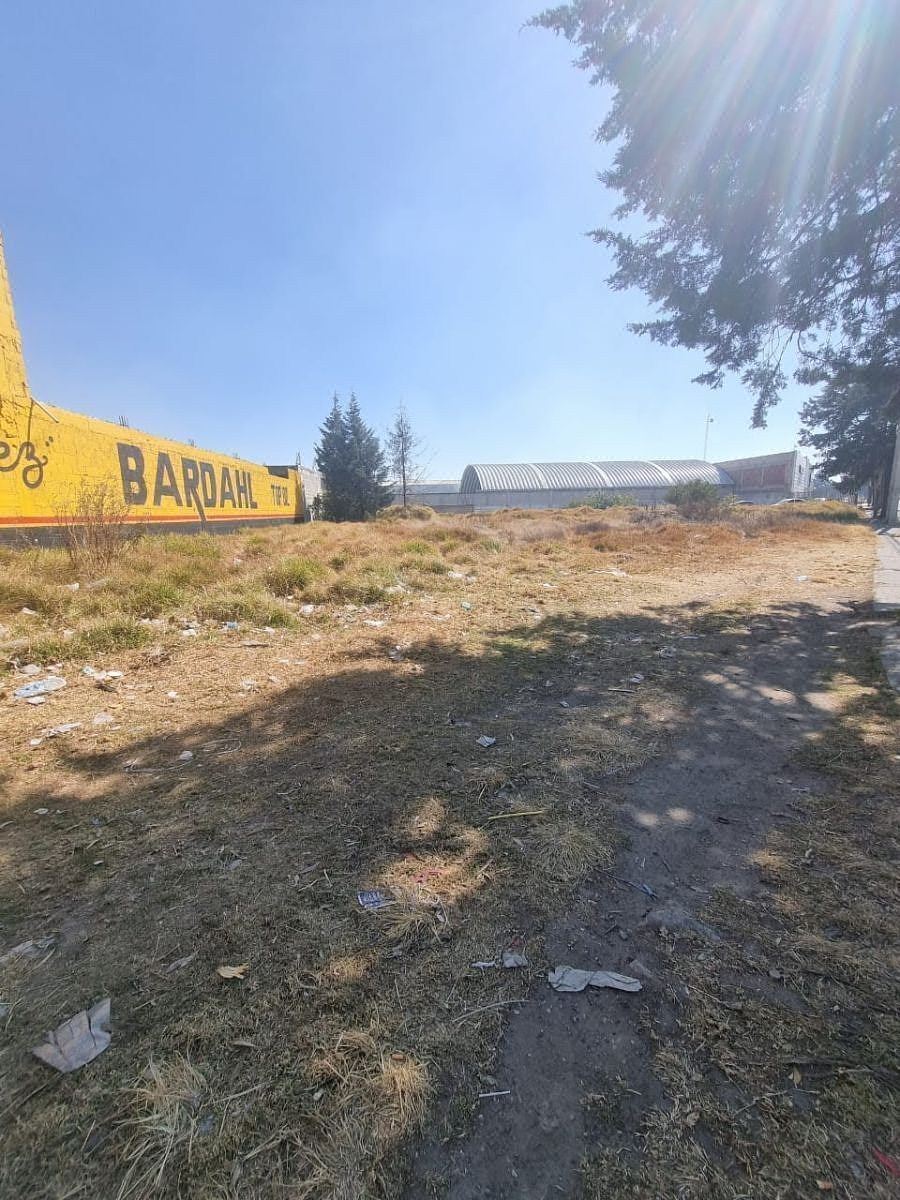 Terreno en San Pablo Autopan, Toluca, foto 11 de 12