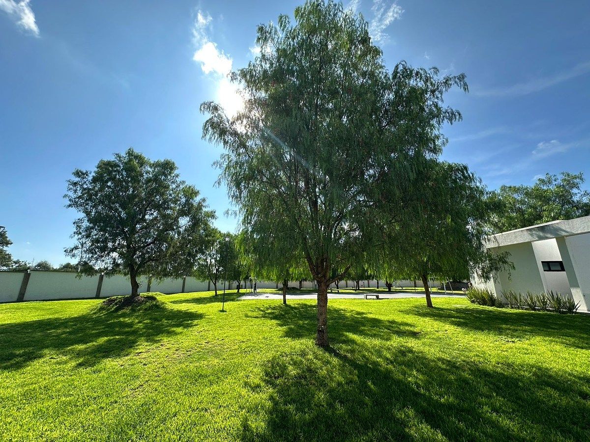 Apartamento em Bosque Sereno, Aguascalientes, foto 9 de 12