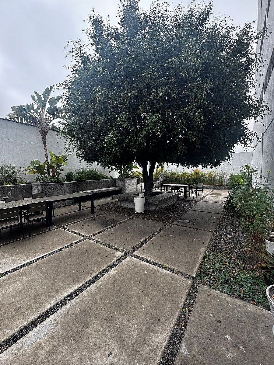 Oficina en Zona Urbana Río Tijuana, Tijuana, foto 6 de 15