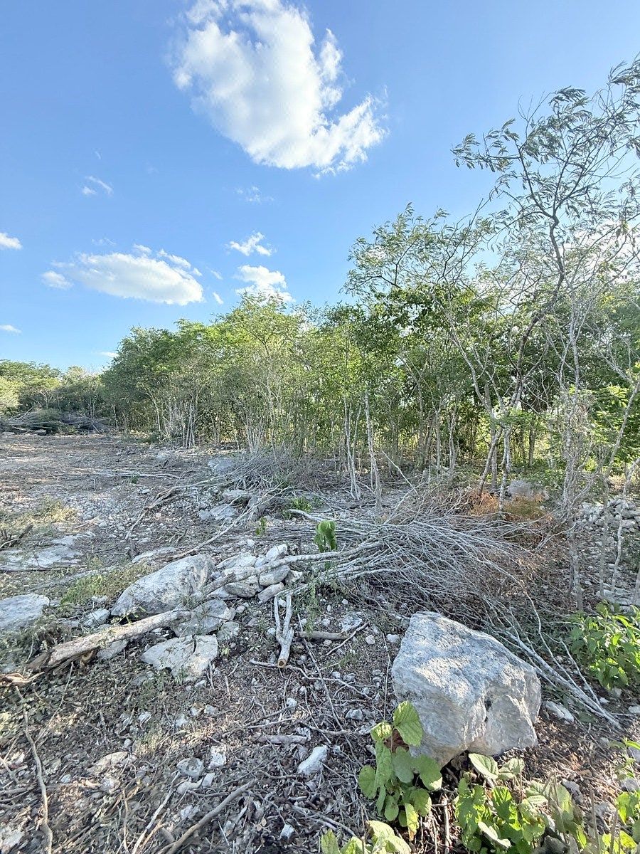 Lot in Campestre Flamboyanes, Progreso, photo 6 of 14