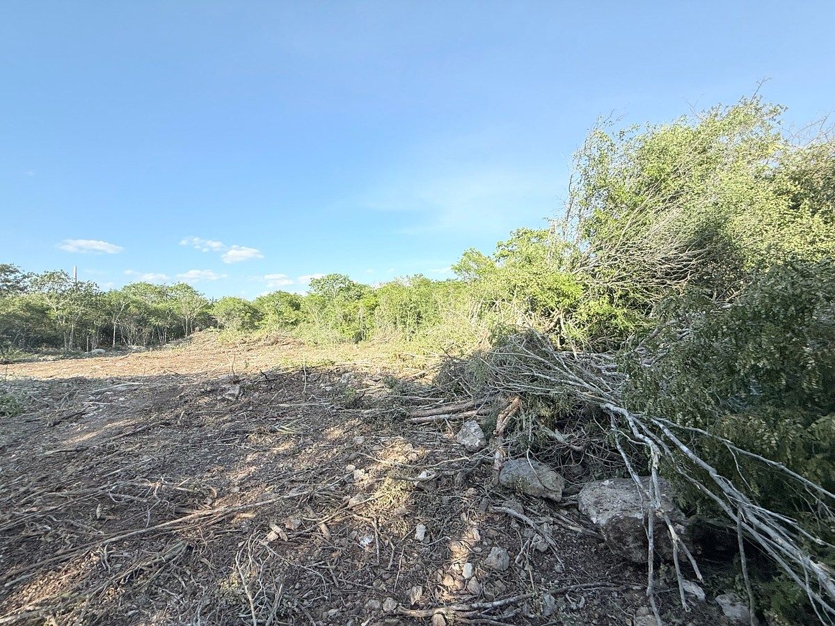 Lot in Campestre Flamboyanes, Progreso, photo 9 of 14