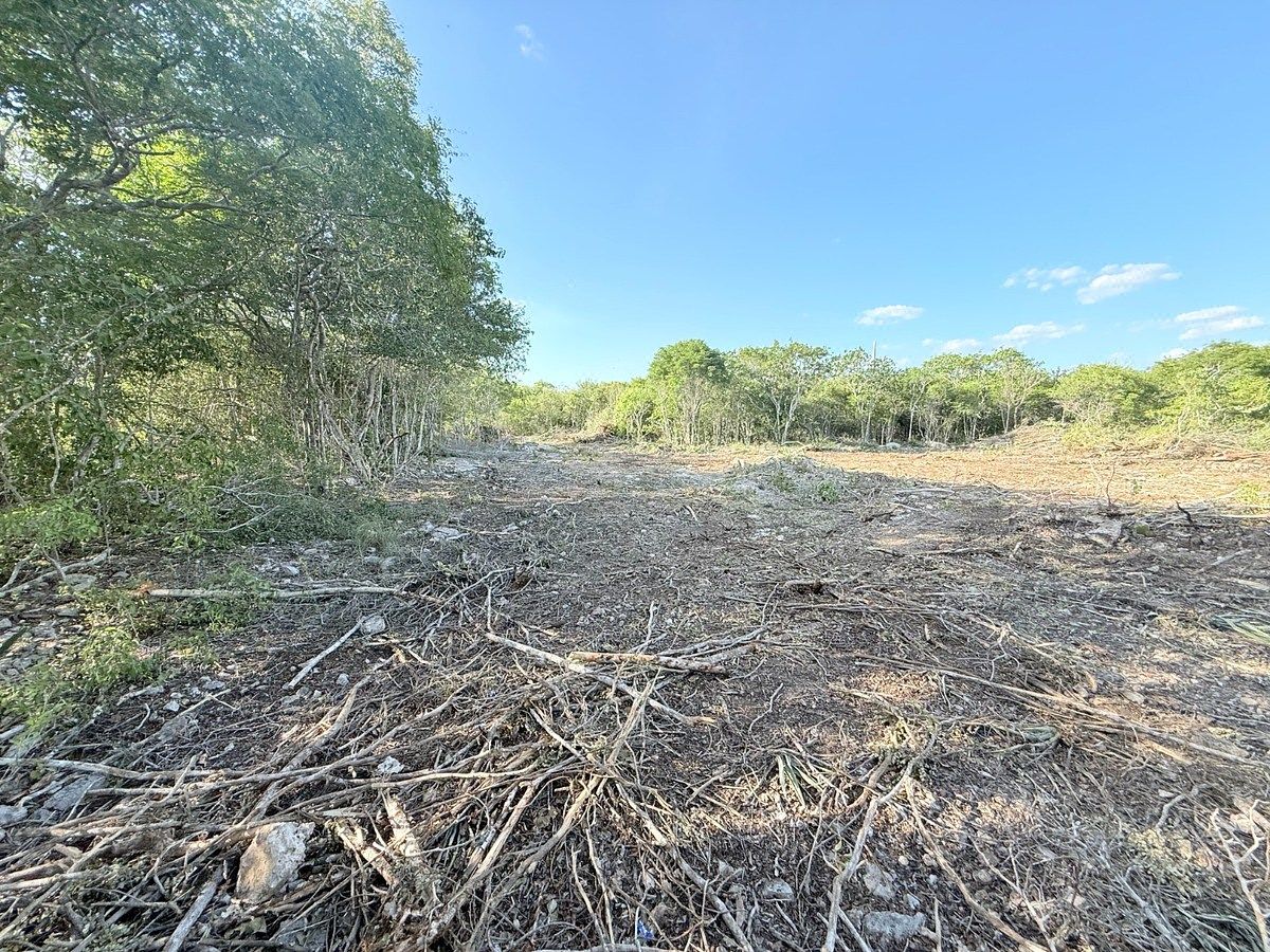 Lot in Campestre Flamboyanes, Progreso, photo 10 of 14