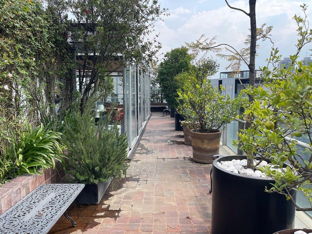 Apartamento em Lomas de Vista Hermosa, Cuajimalpa de Morelos, foto 5 de 15
