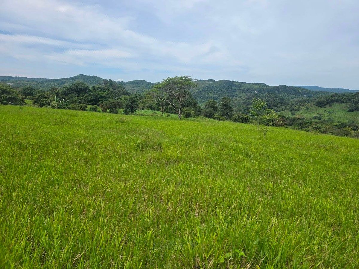 Rancho en Rivera el Limón, San Fernando, foto 17 de 23