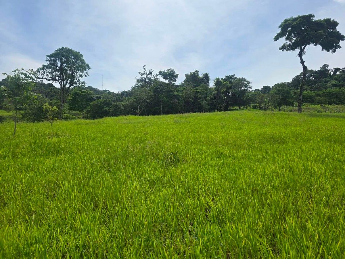 Rancho en Rivera el Limón, San Fernando, foto 18 de 23