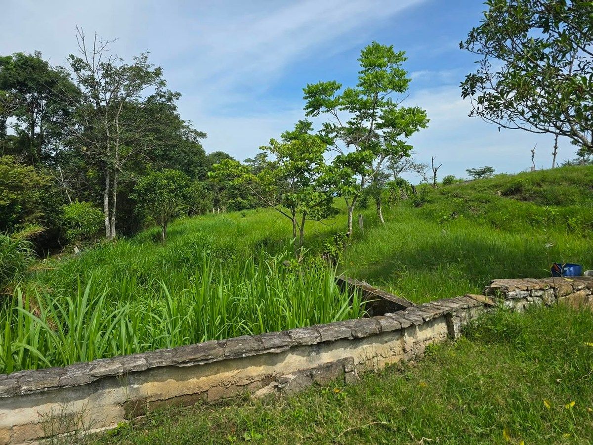 Rancho en Rivera el Limón, San Fernando, foto 6 de 23