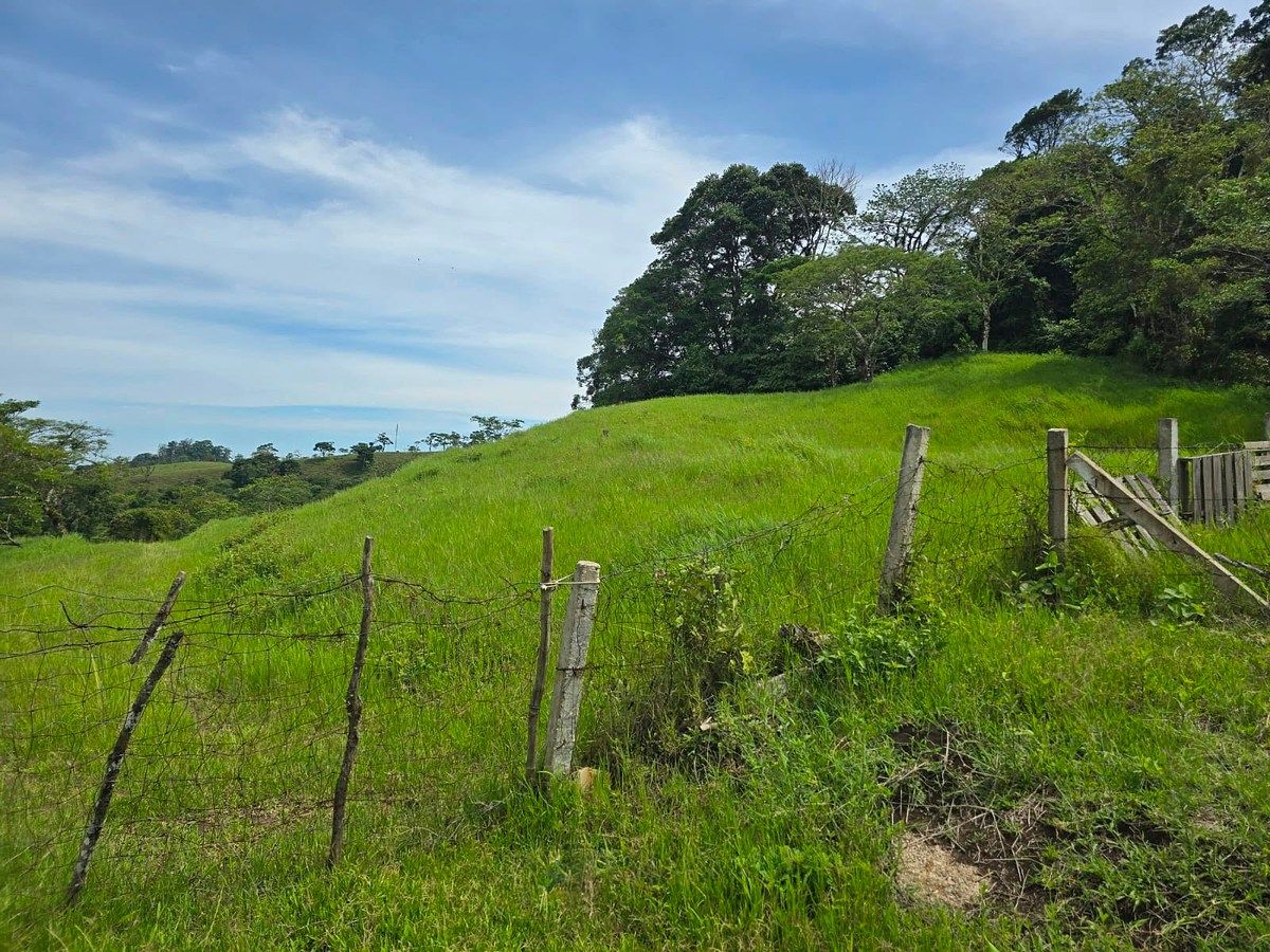 Rancho en Rivera el Limón, San Fernando, foto 16 de 23