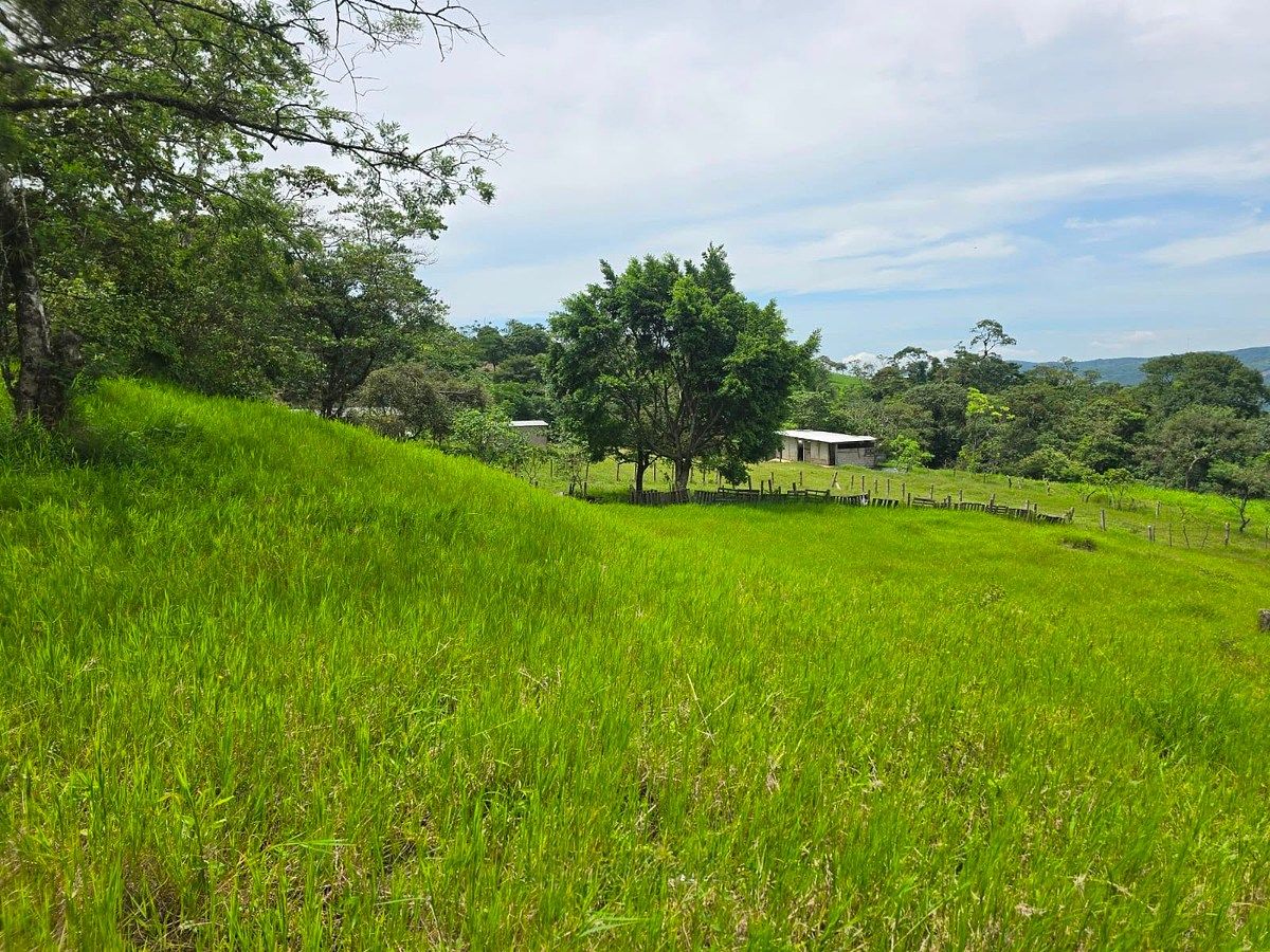 Rancho en Rivera el Limón, San Fernando, foto 19 de 23