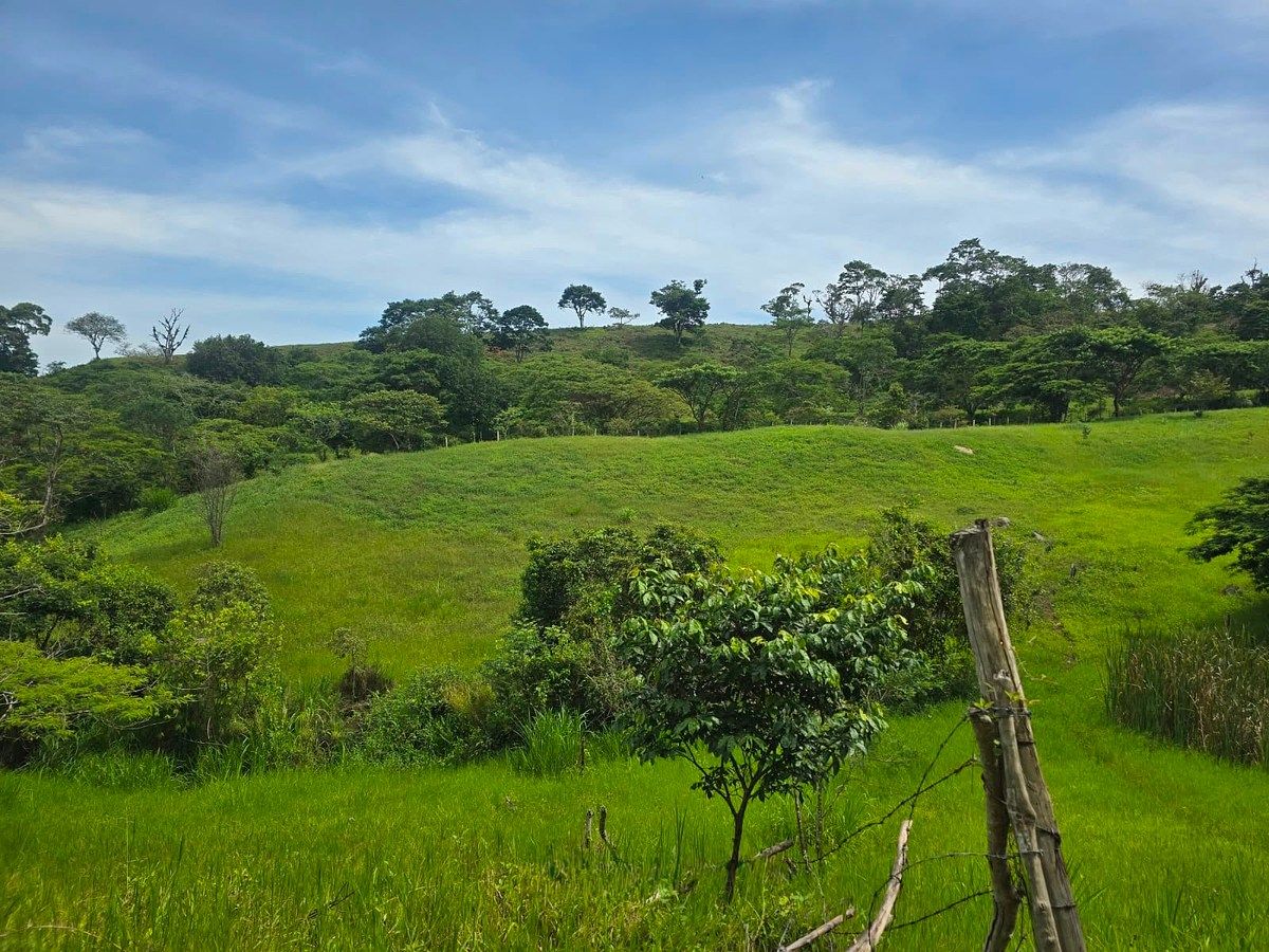 Rancho en Rivera el Limón, San Fernando, foto 20 de 23