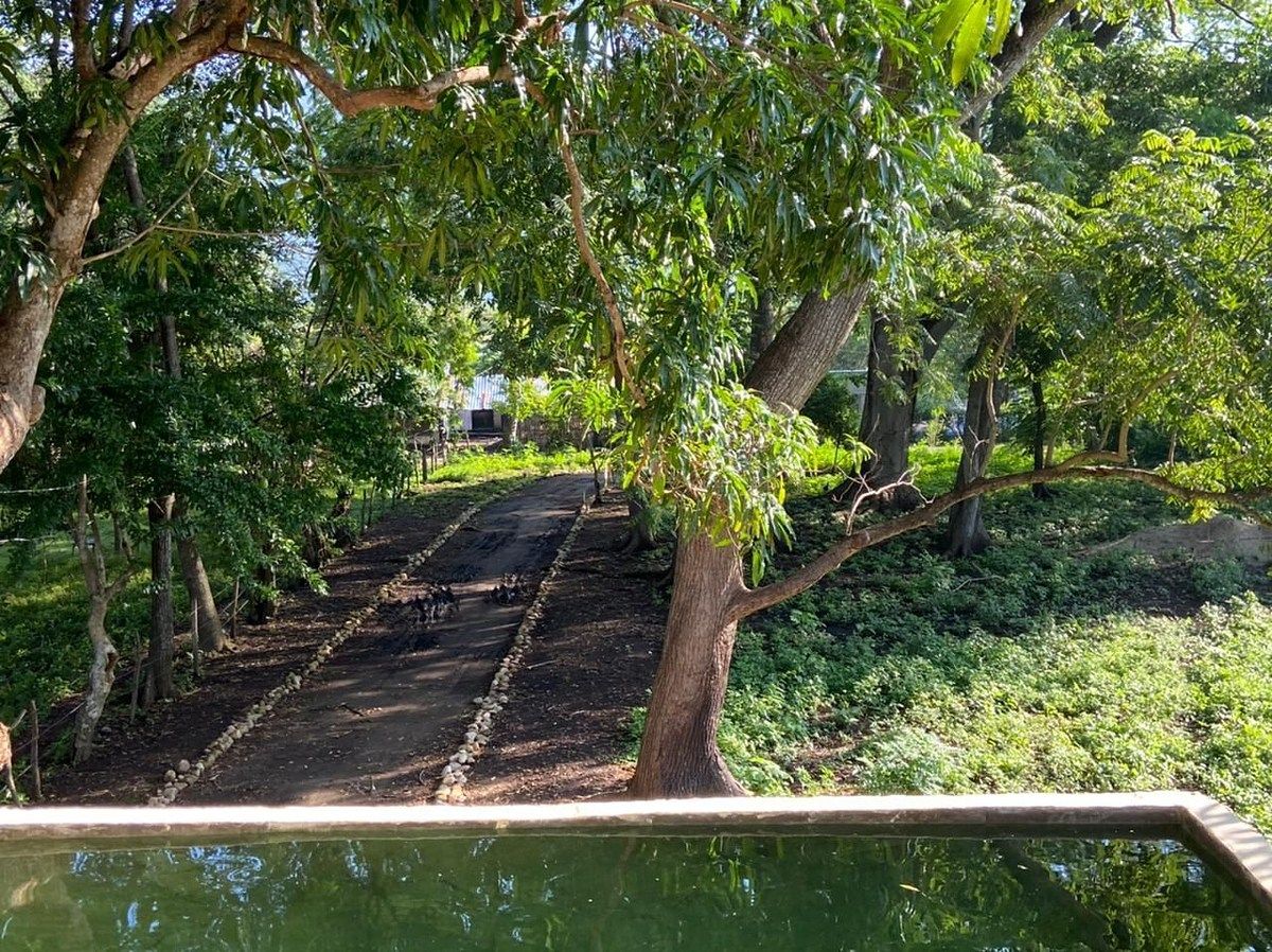 Lote em Barrio Nuevo, Tonalá, foto 2 de 8