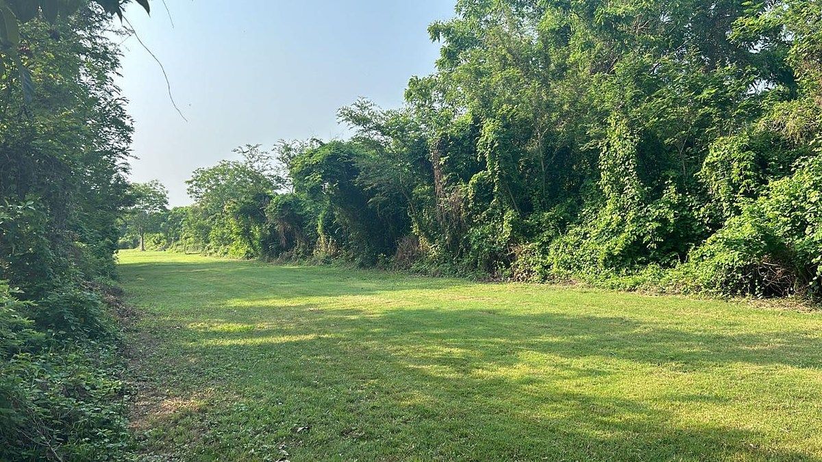 Lote em Barrio Nuevo, Tonalá, foto 6 de 8