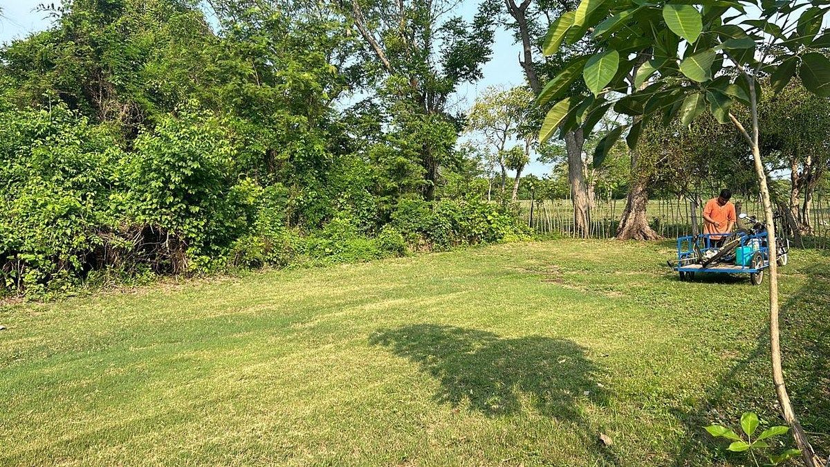 Lote em Barrio Nuevo, Tonalá, foto 5 de 8