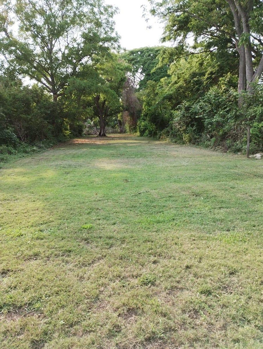 Lote em Barrio Nuevo, Tonalá, foto 7 de 8