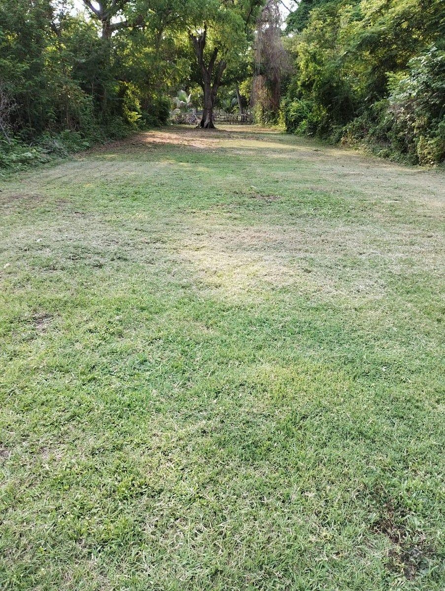 Lote em Barrio Nuevo, Tonalá, foto 8 de 8