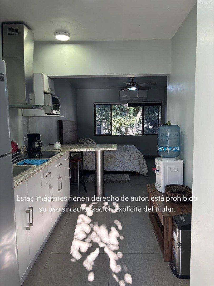 Loft Ejecutivo Amueblado en Renta en Valle de San Agustín, foto 1 de 10
