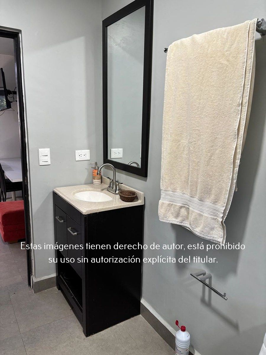 Loft Ejecutivo Amueblado en Renta en Valle de San Agustín, foto 7 de 10