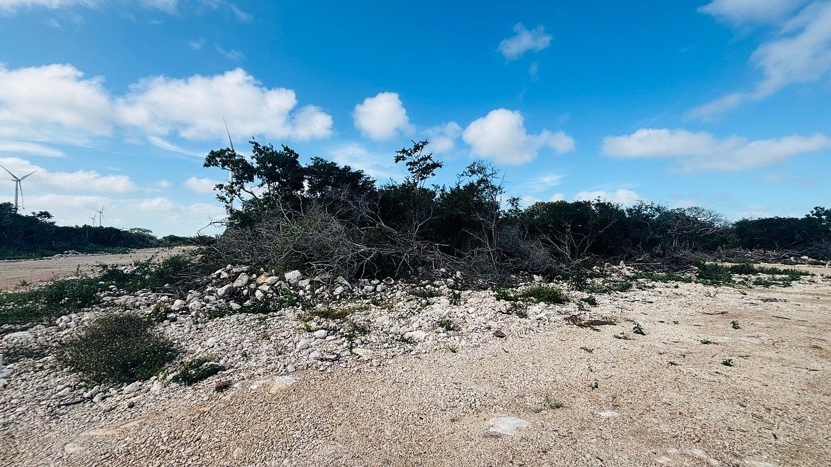 Lote em Chicxulub, Chicxulub Pueblo, foto 4 de 4